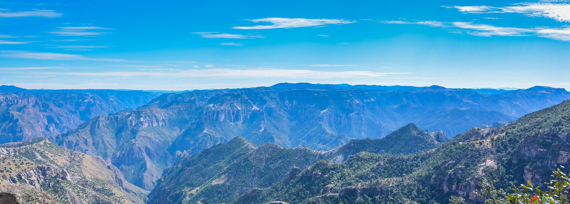 Banner 1